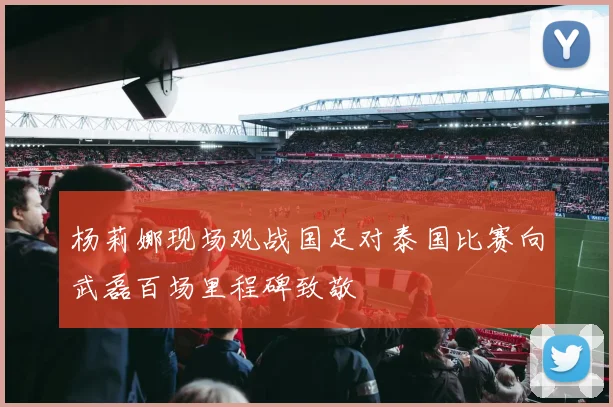 杨莉娜现场观战国足对泰国比赛向武磊百场里程碑致敬